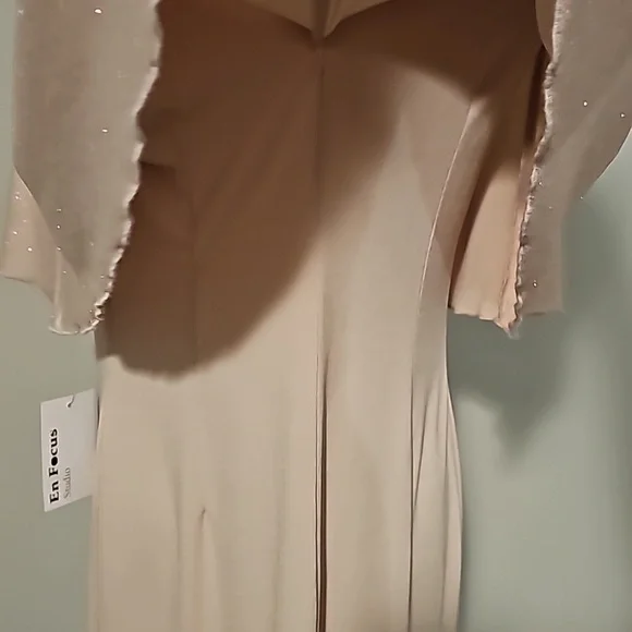 EN FOCUS Studio woman Sparkly Nude + Gold Sheer Tank Dress 16W NWT - Picture 12 of 14